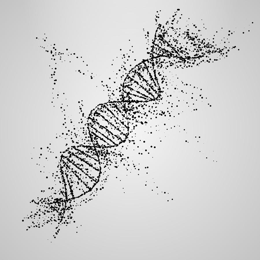 DNA Testing - 5 Interesting Facts About DNA